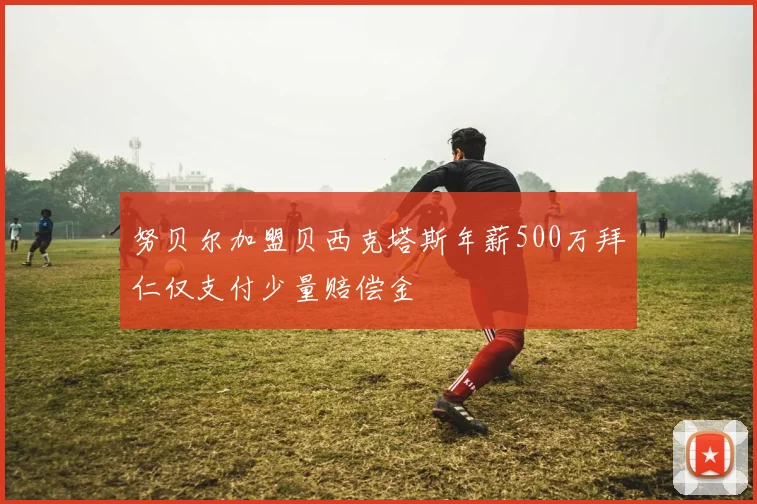 努贝尔加盟贝西克塔斯年薪500万拜仁仅支付少量赔偿金
