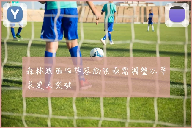 森林狼面临阵容瓶颈亟需调整以寻求更大突破